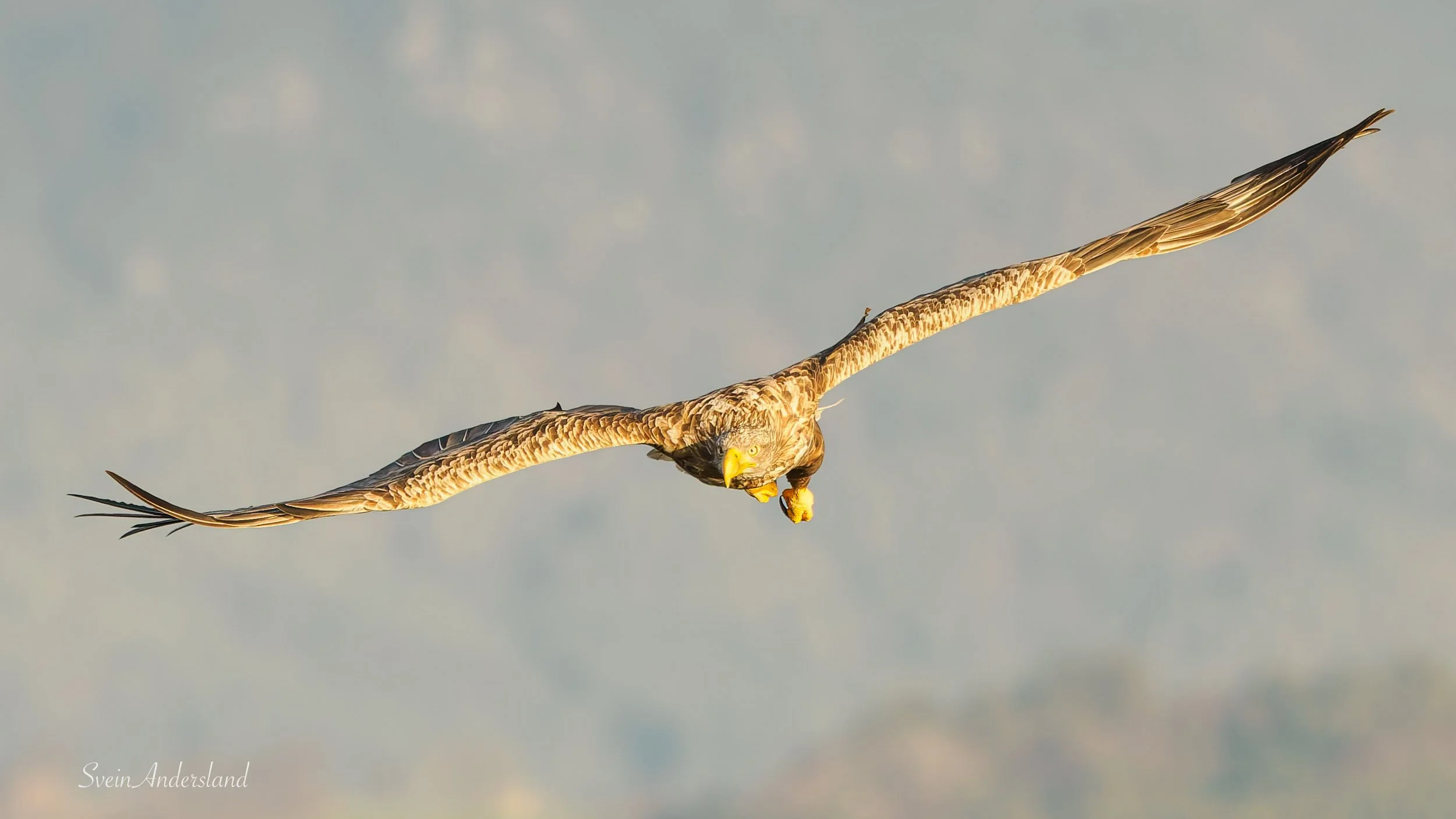 Novembermøte med Gunda