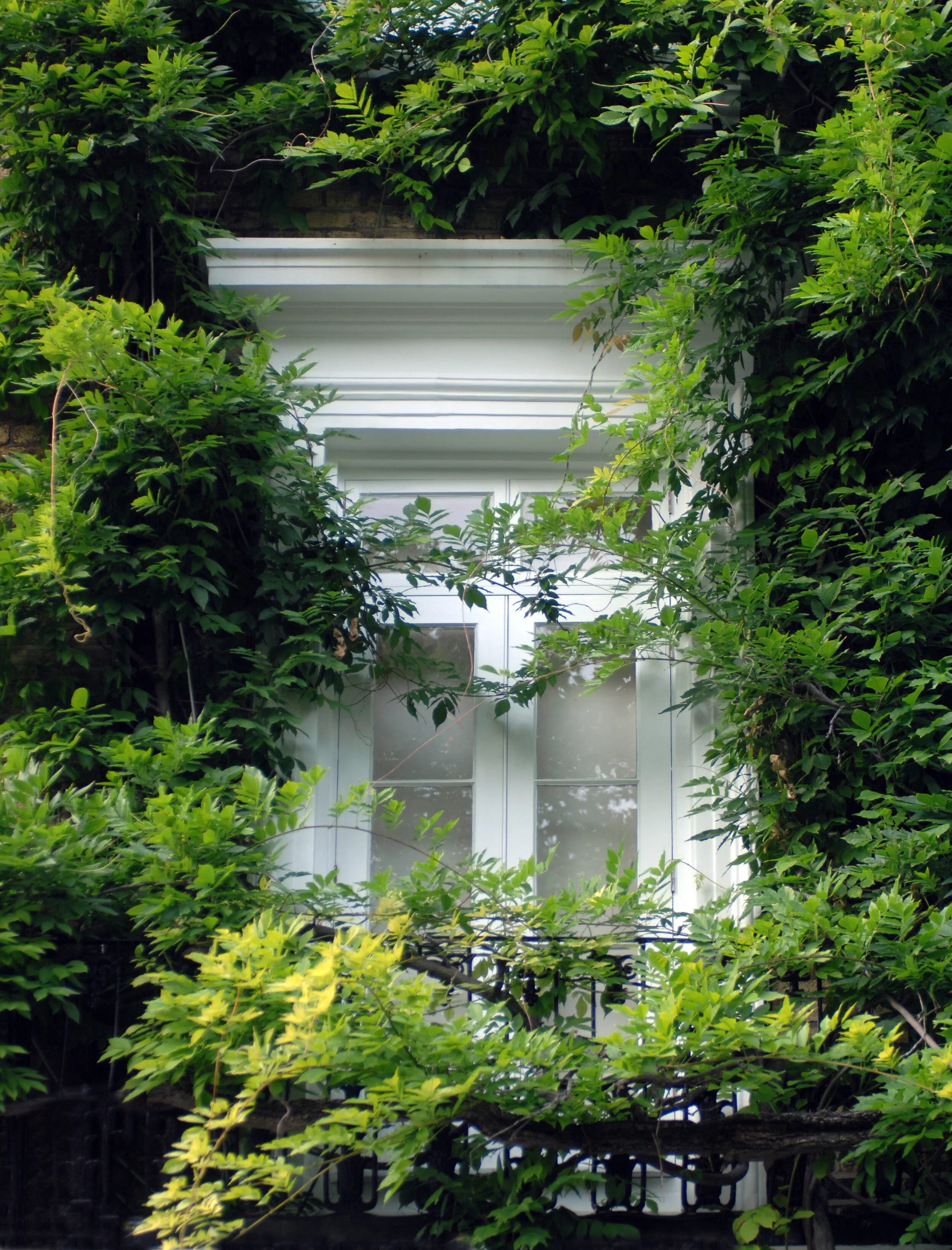  Nature’s multidimensional art: outside &amp; inside. 