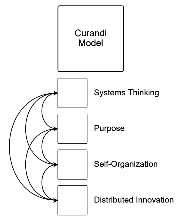The Curandi Model™