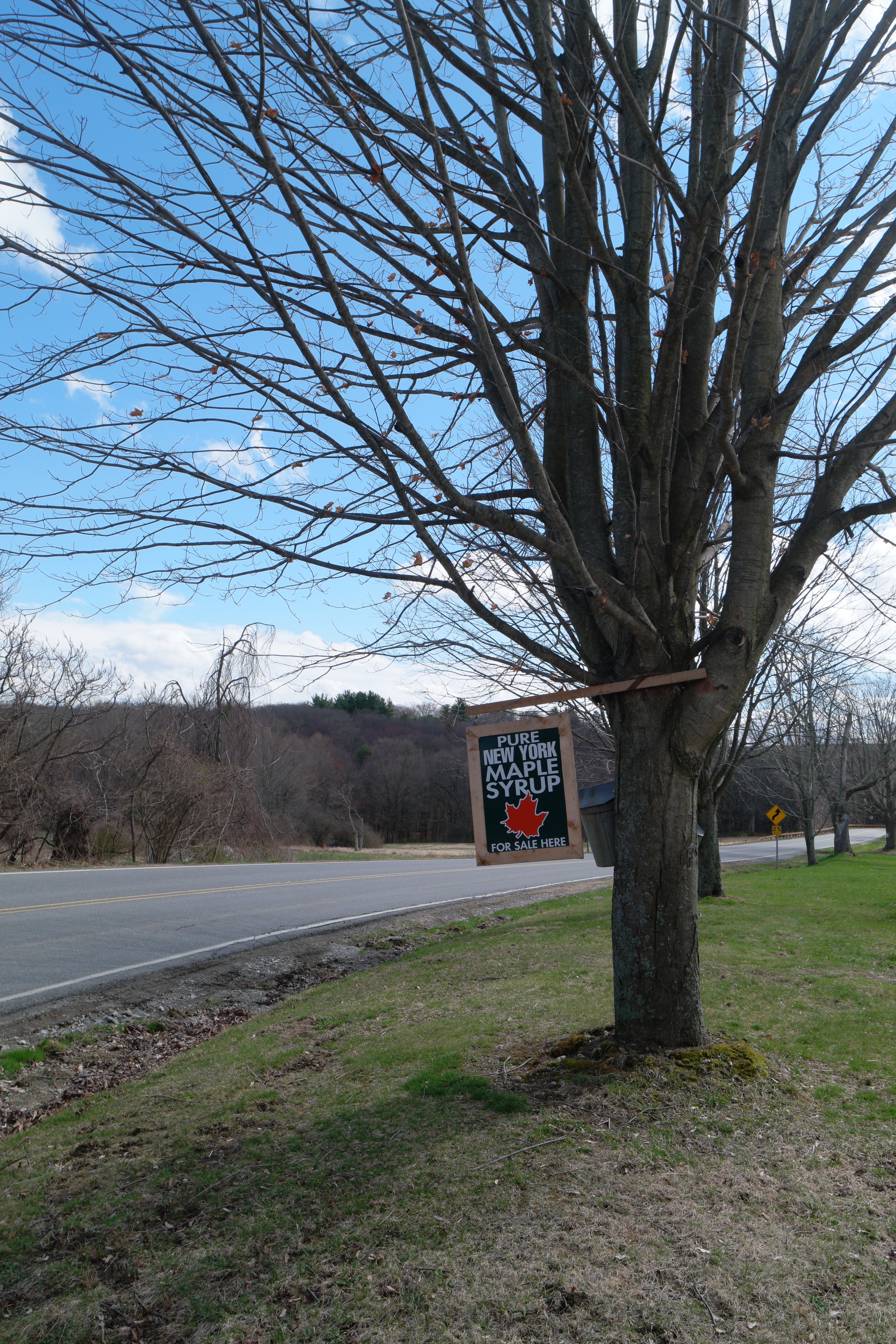 Maple Weekend, Dutchess County, NY
