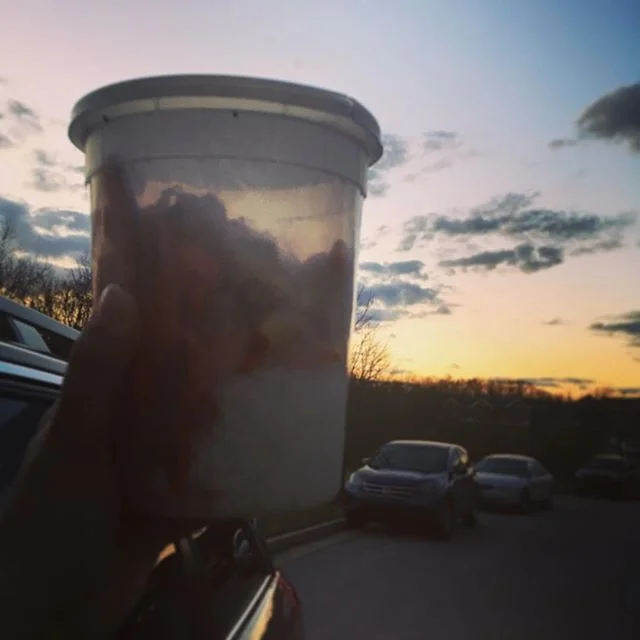 Just finished up a Prenatal visit and my sweet clients not only made me a home-cooked meal, but sent me out the door with leftovers and prayers for safe travel. It is not lost on me how special these moments are. When you invite me into your lives, your homes, around your tables, and in your birthing space. It is superbly human and vulnerable and I am forever grateful for these connections forged by compassion and embrace. 🍽🤰🏽♥️ .
.
.
.
#doula #birthdoula #mamabeardoulaky #mamabeardoulaservices #lexington #kentucky #sharethelex #babies #children #mama #love #women #empowerment #labor #lexingtondoula #sharethelex #DONA #pregnant #pregnancy #newborn #newborncare #momlife #newmom #naturalbirth
