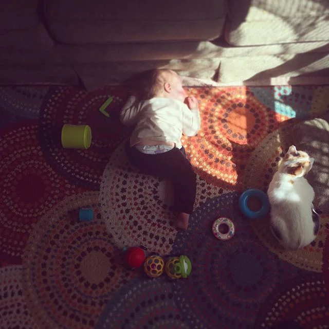 Play hard. Nap Harder. 👶🏼
.
.
.
#advicefrombabybear #momlife #toddler #boymom #mamabeardoulaky