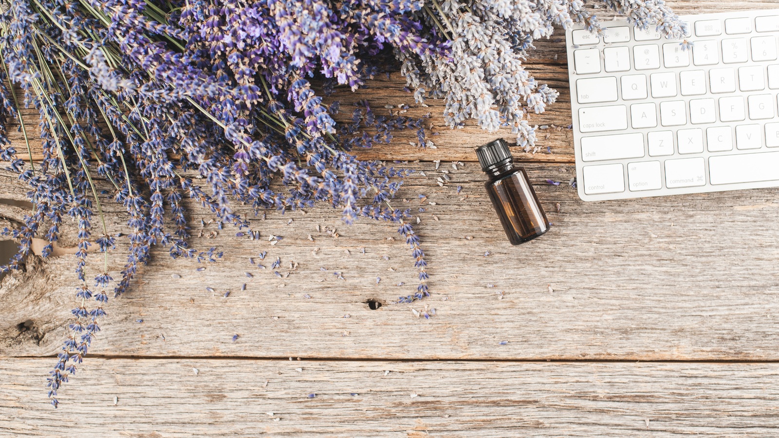 Lavender+and+keyboard.jpg