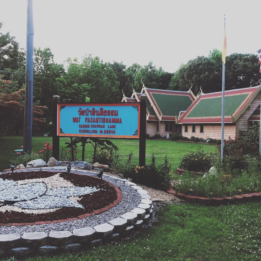 THE MEDITATION PROFESSIONALS