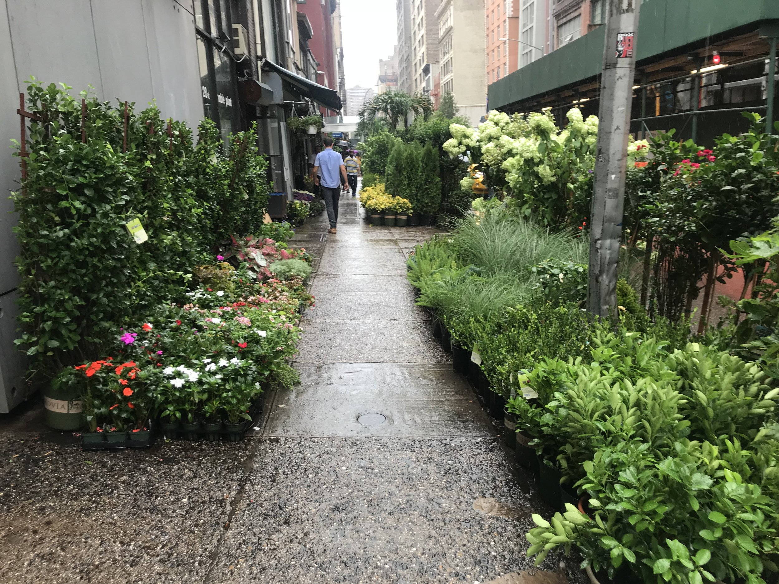 IMG_5410.jpeg
