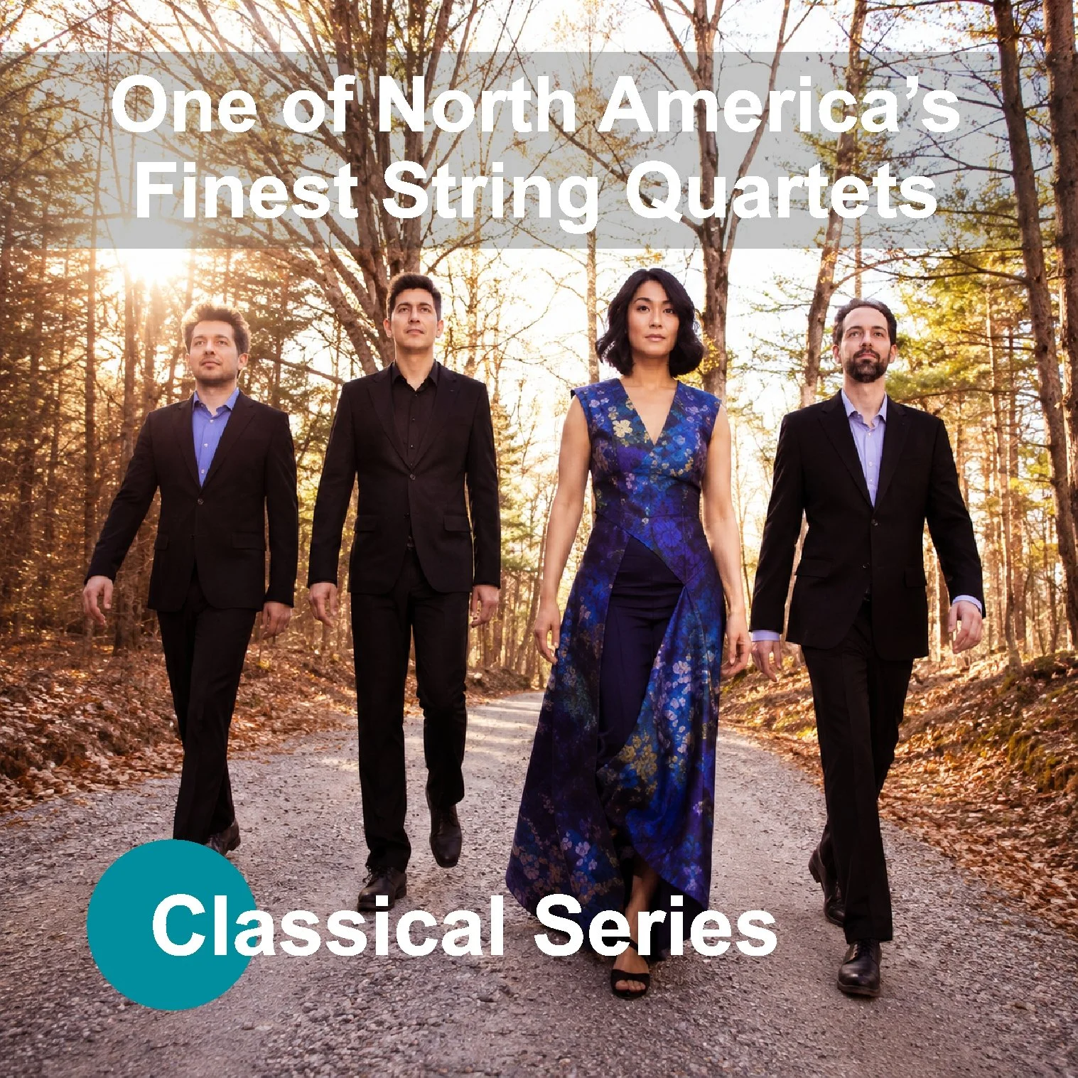 Telegraph String Quartet - Saturday November 7, 2026 - 7:30 pm - THE LOFT