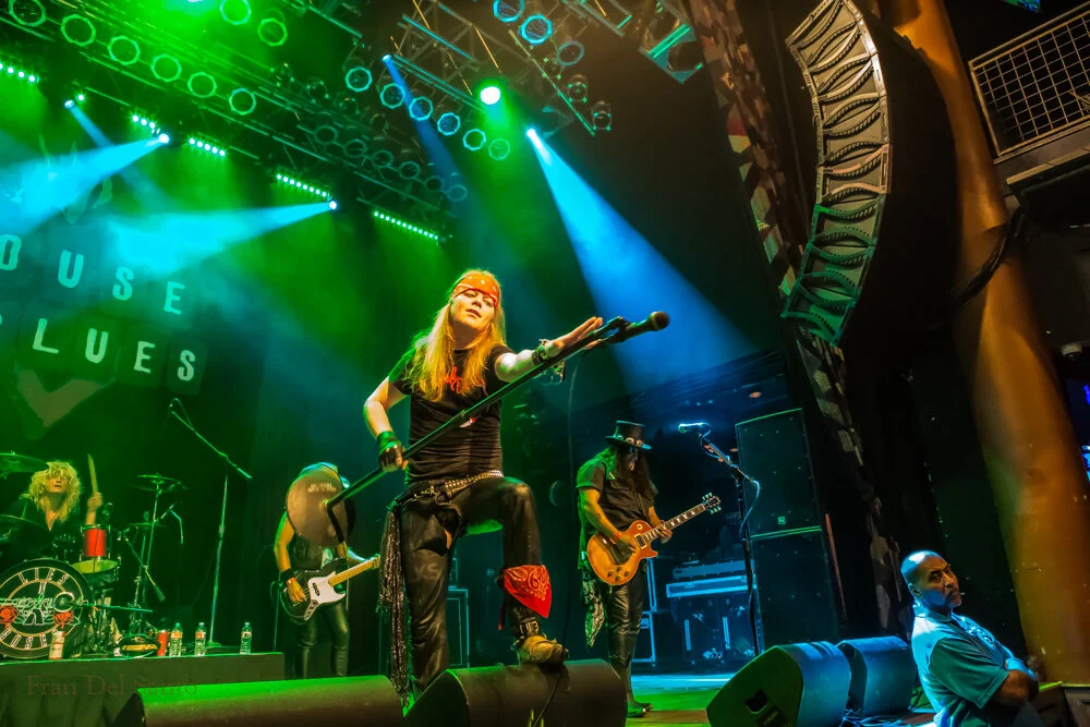 lies n roses-9447.jpg