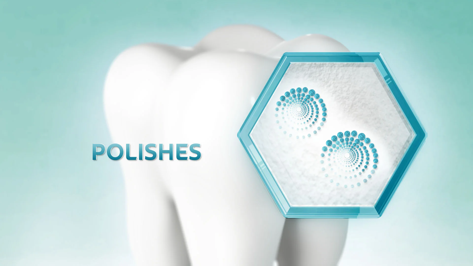 POLISHES_v06.jpg