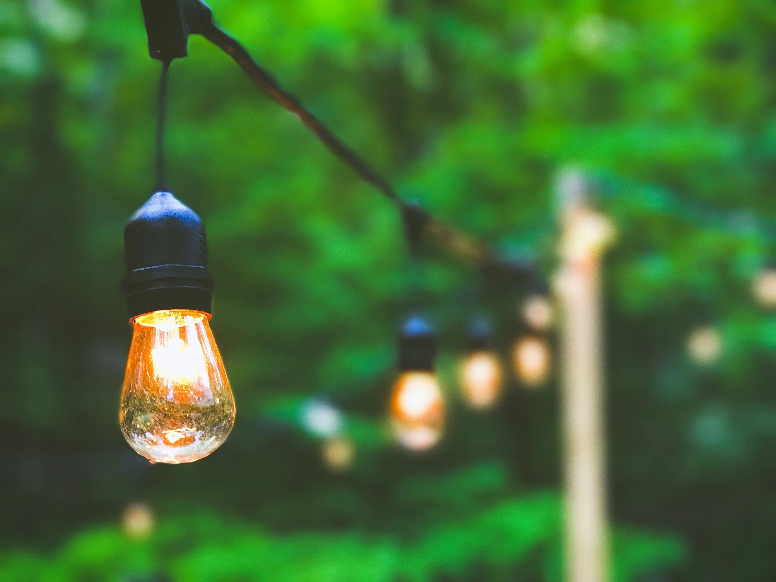 summer_yard_edisonlights.jpg