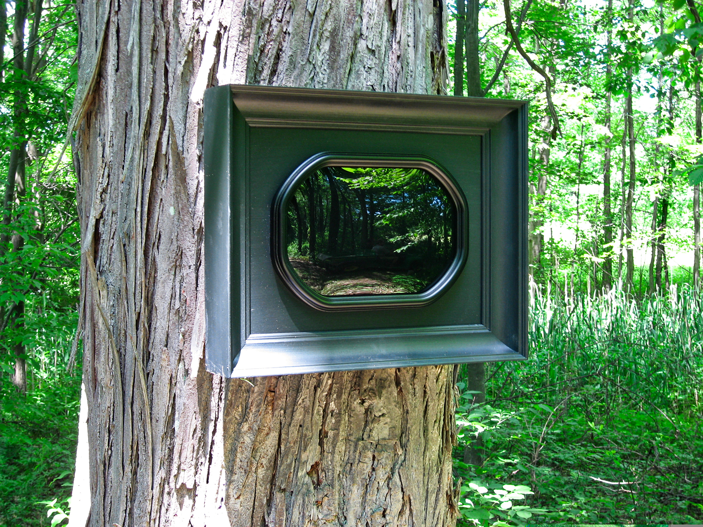 The Ratio of Art to Nature, 2008
