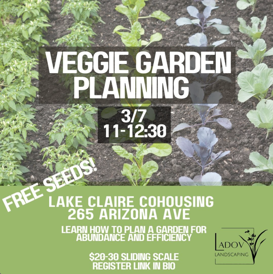 Veggie Garden Planning with Lauren Ladov of Ladov Landscaping 