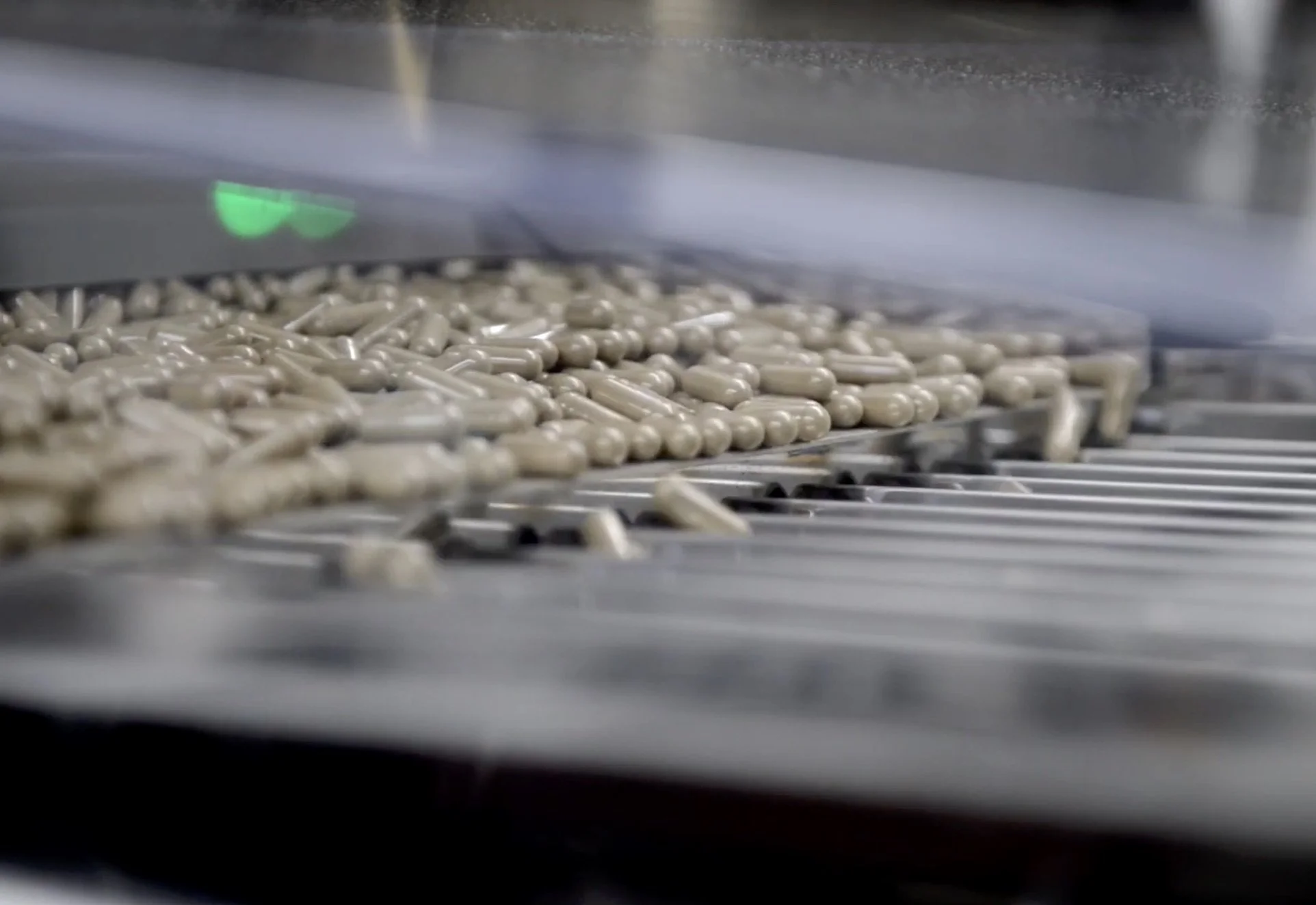 Hard shell capsules going through their final stages of manufacturing.