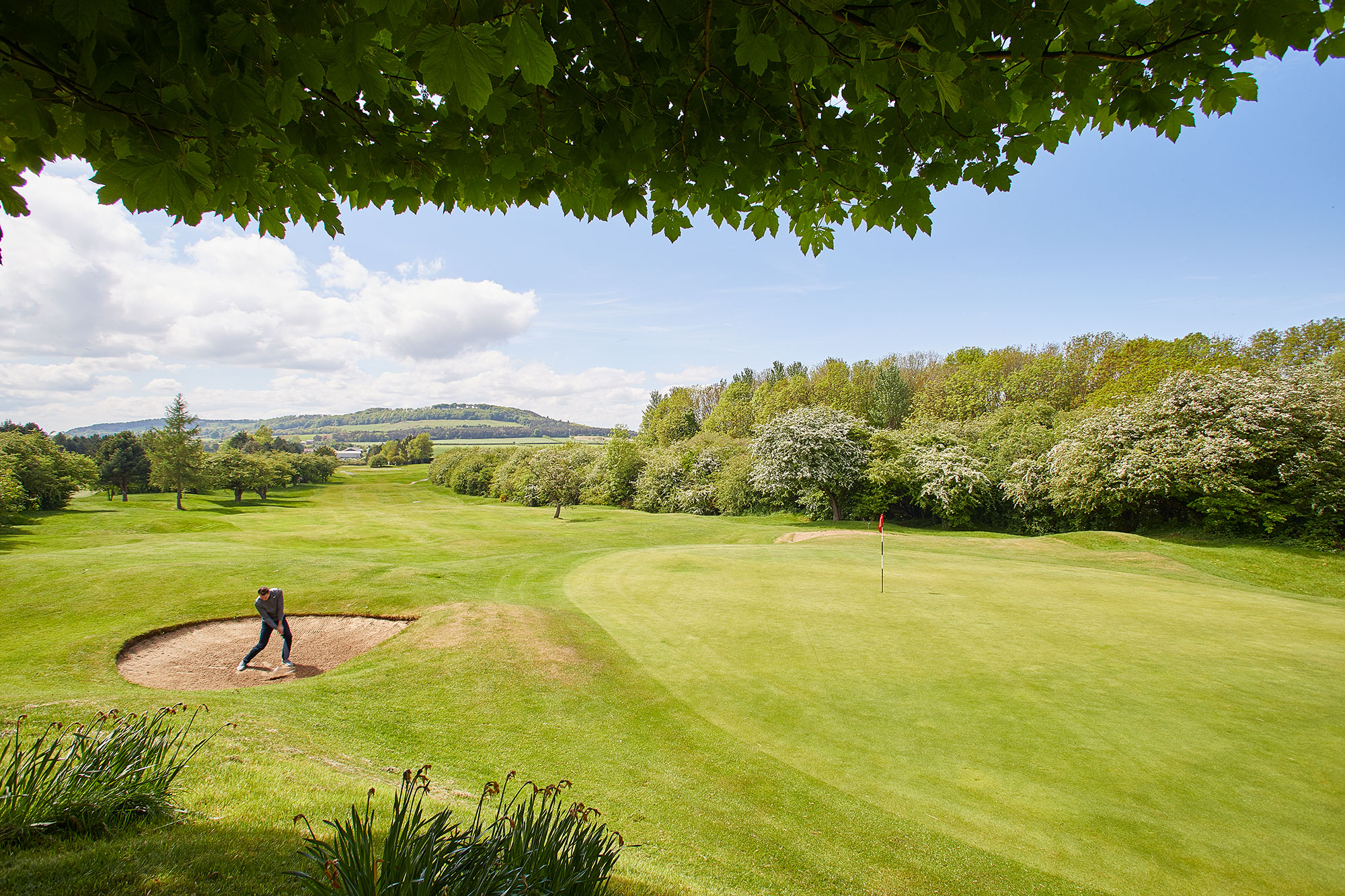 12 &lt;strong&gt;Par 3 | 355 yrds&lt;/strong&gt;