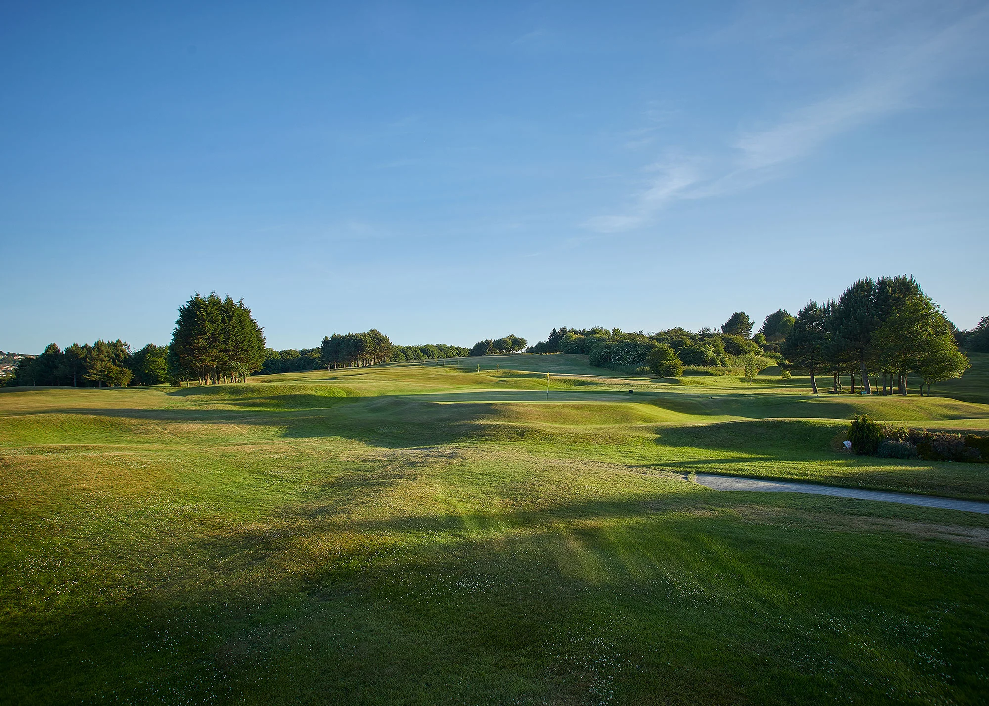 THE COURSE