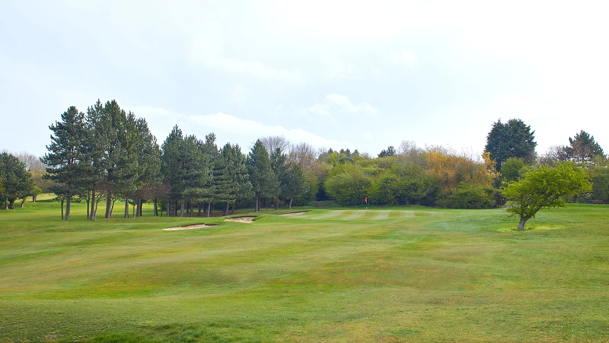 saltburn-golf-club-temo-053.jpg