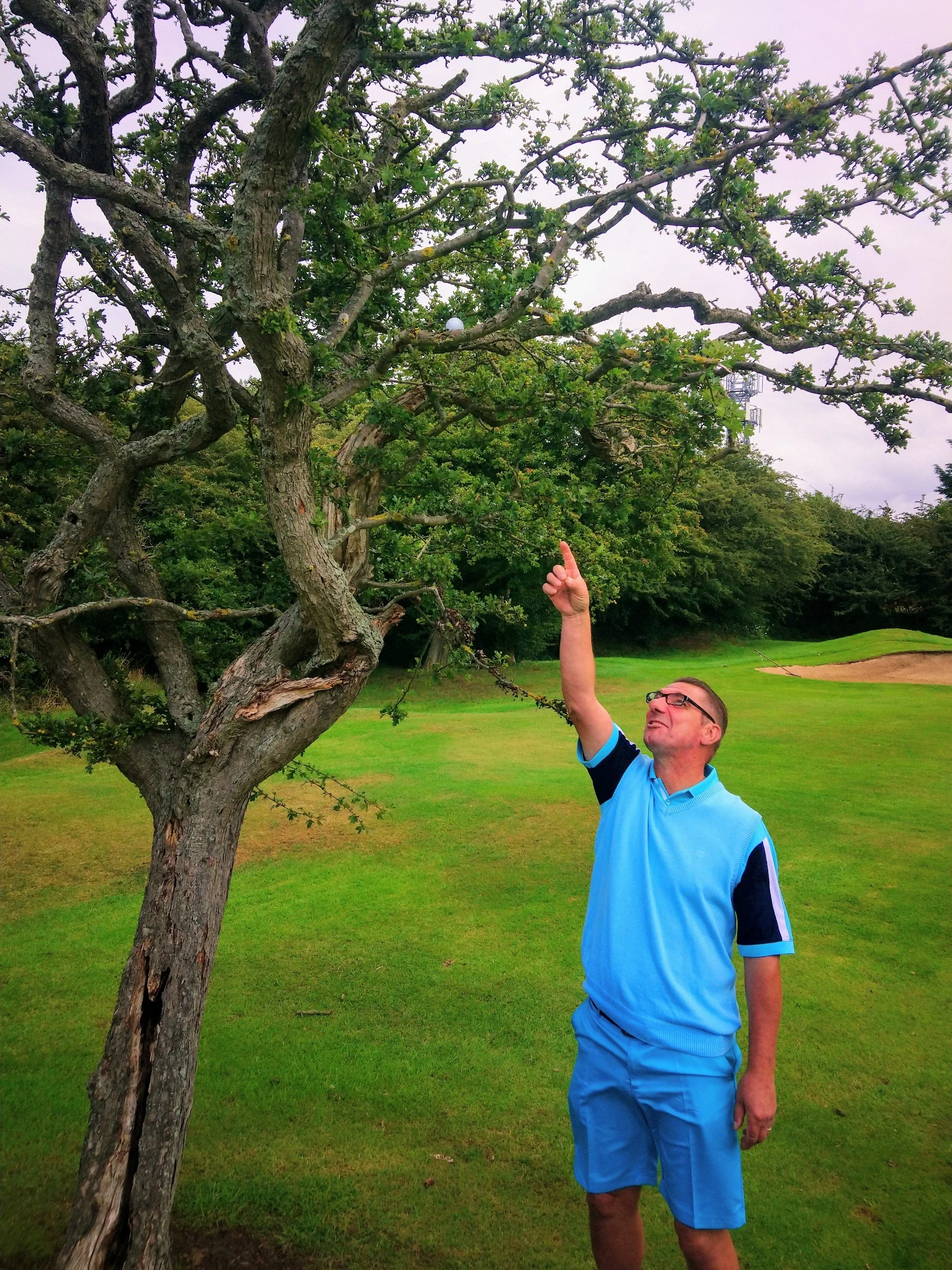 Tree 1-0 Chick