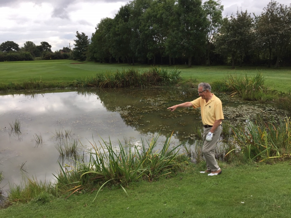 Members Interest: October, 2019