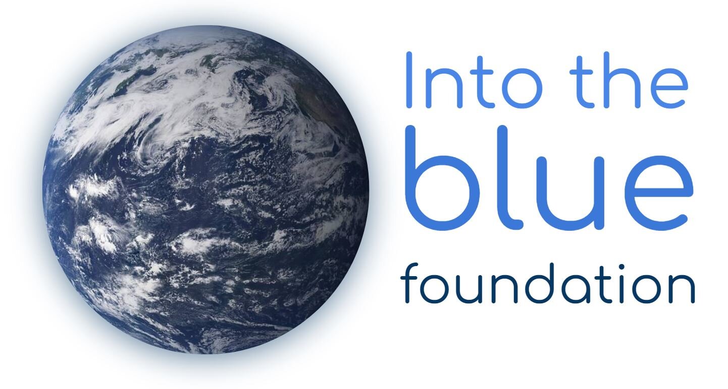 Into the Blue Foundation