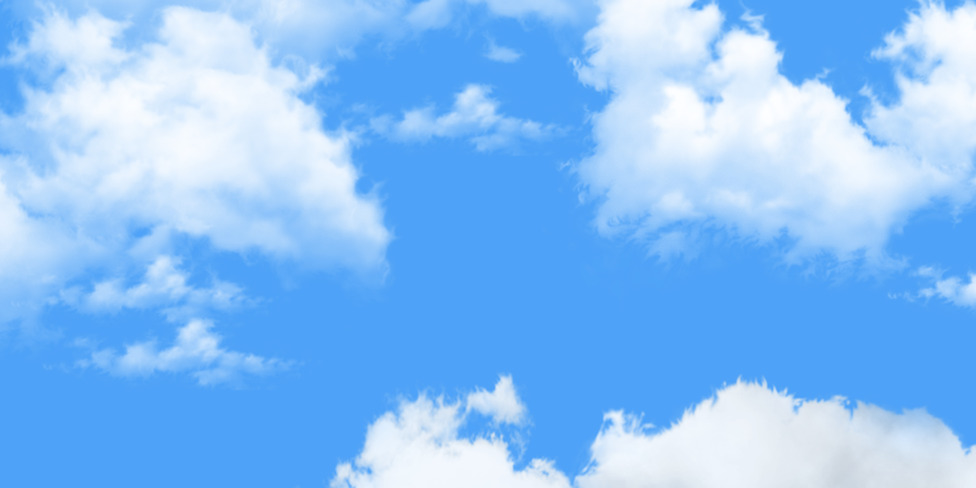 website 2.png