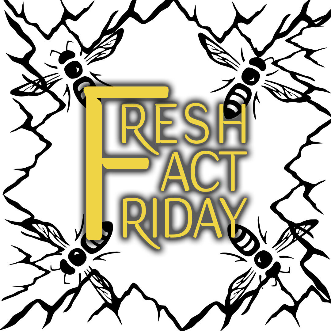 Fresh Fact Friday: Bees can fly higher than Mount Everest. Bees can fly higher than 29,525 feet above sea level, according to National Geographic. That's higher than Mount Everest, the tallest mountain in the world. 🐝⛰️
&bull;
&bull;
&bull;
#freshfa