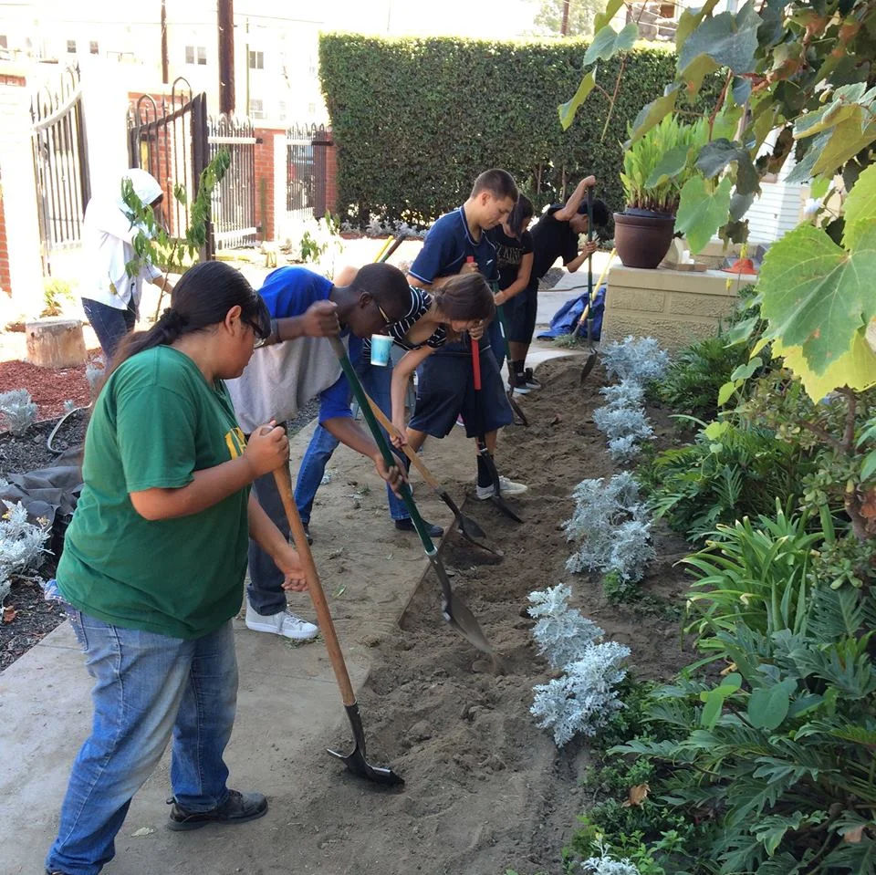 RootDownLA working with our youth learning the skills of gardening.
