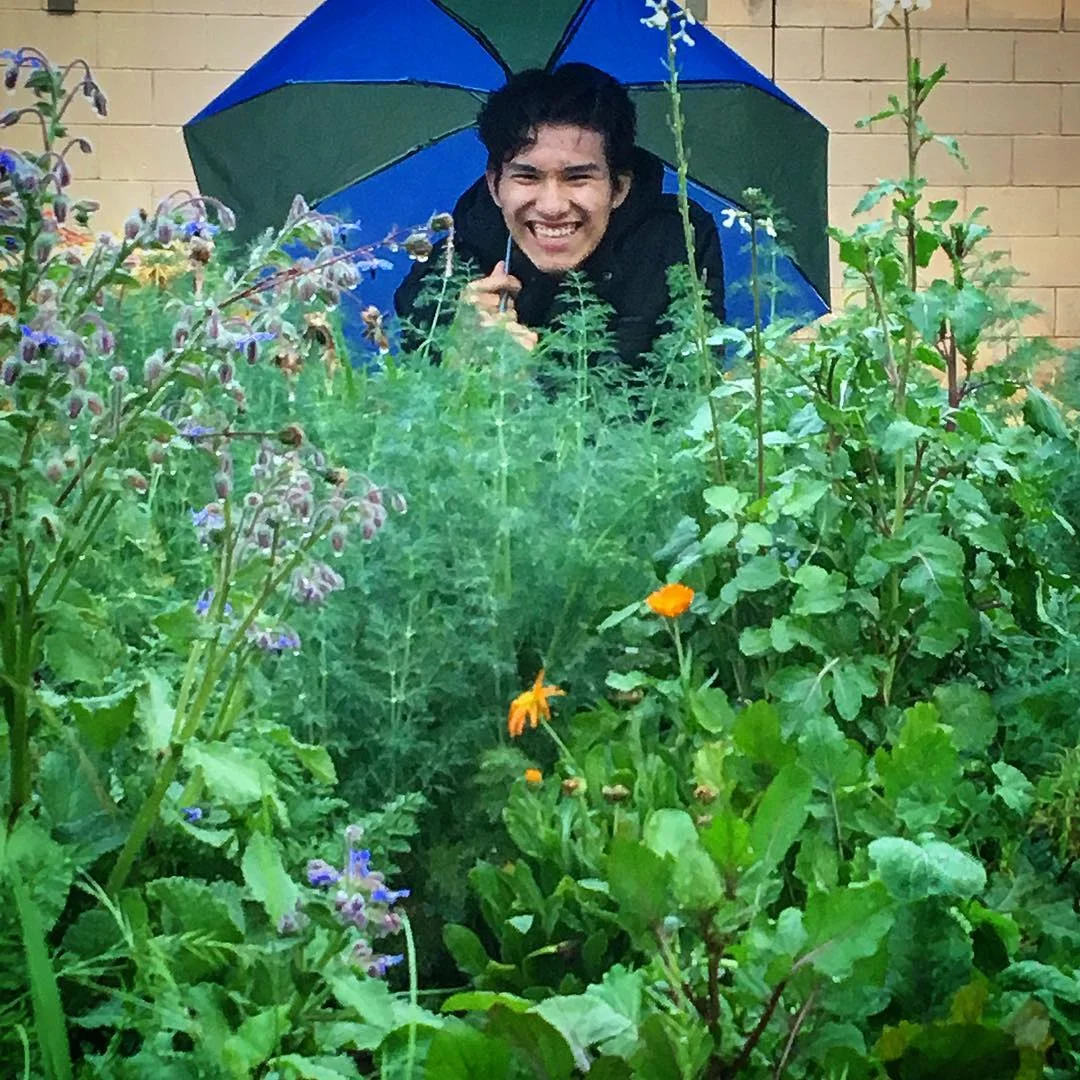 And with a little bit more time…a bounty of herbs!