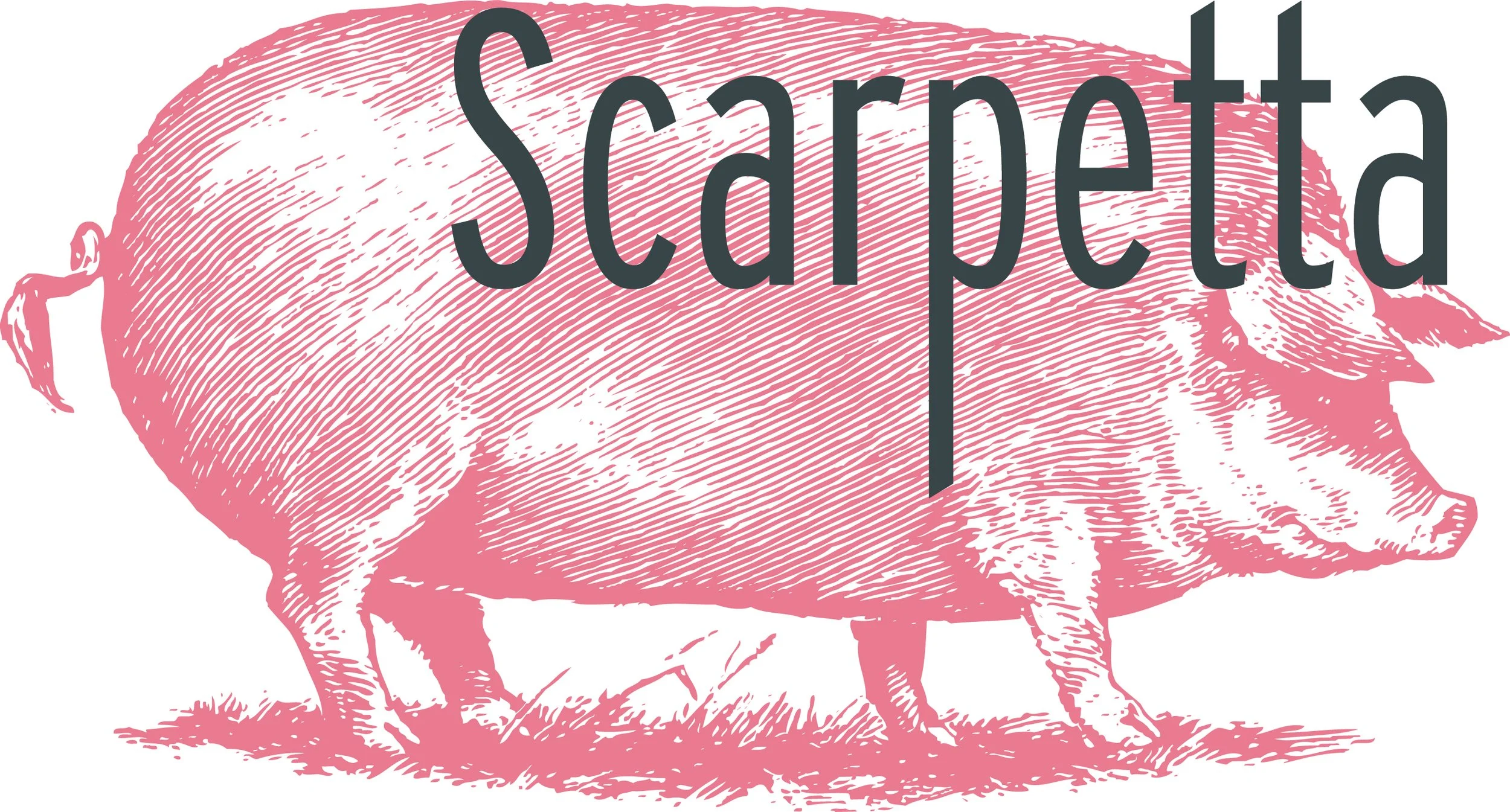 scarpettapigandwordmarkcolor.jpg