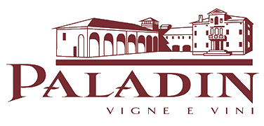 paladin-logo.png