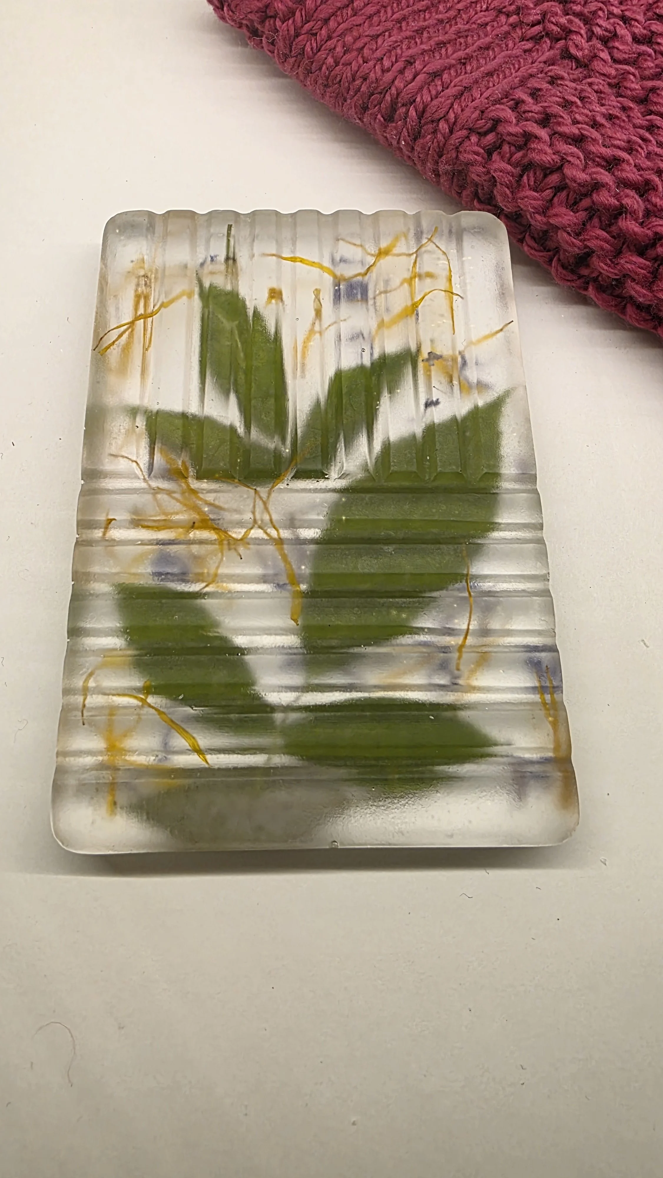 20260823_174542.jpg