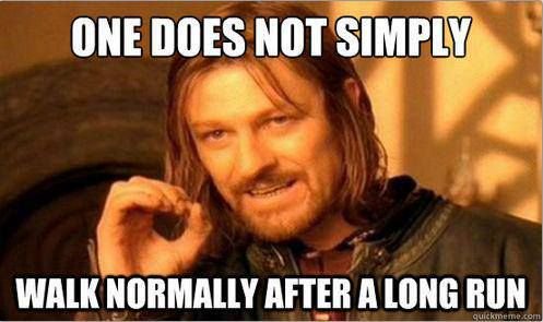41 funny running memes to brighten your day 33 running meme