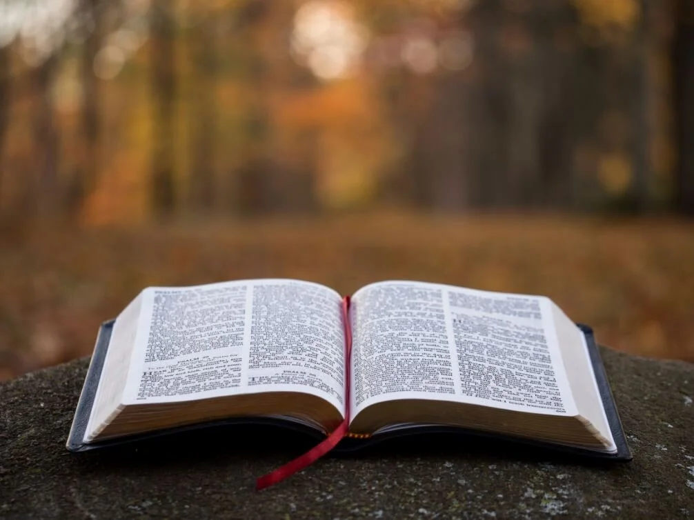 bIBLE.JPG