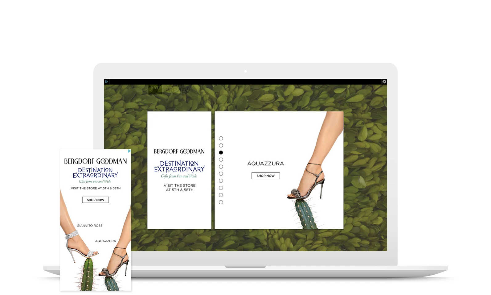 ADFRAMES FOR BERGDORF GOODMAN (Copy)