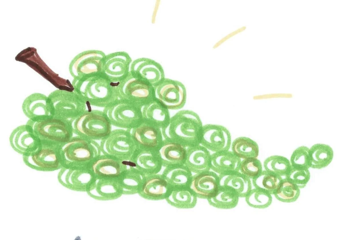 quirky-grapes-e1400259337656.jpg