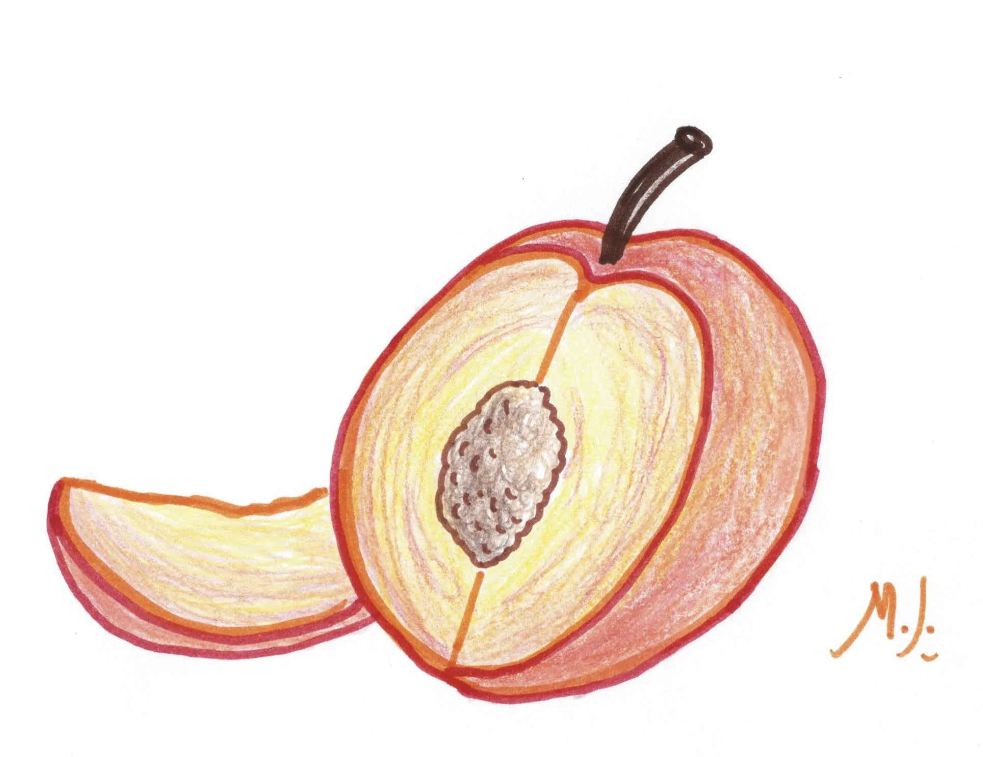 quirky-peaches-sketch.jpg