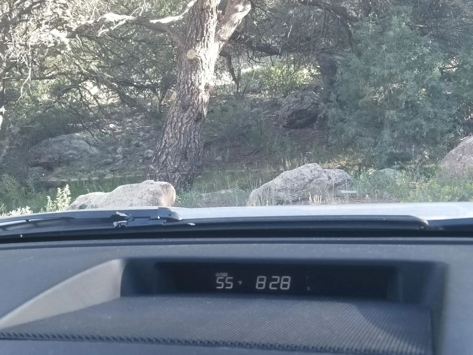 I took this picture at the trail-head after that first long night, hoping and praying he’d come home to me. I took this picture as a memorial stone. To remember Romans 8:28 then and to remember it now. And the 55*… it reminds me there is a double portion of grace available to me. It’s available to you to. Let’s just ask for it. Grace. Amazing grace.