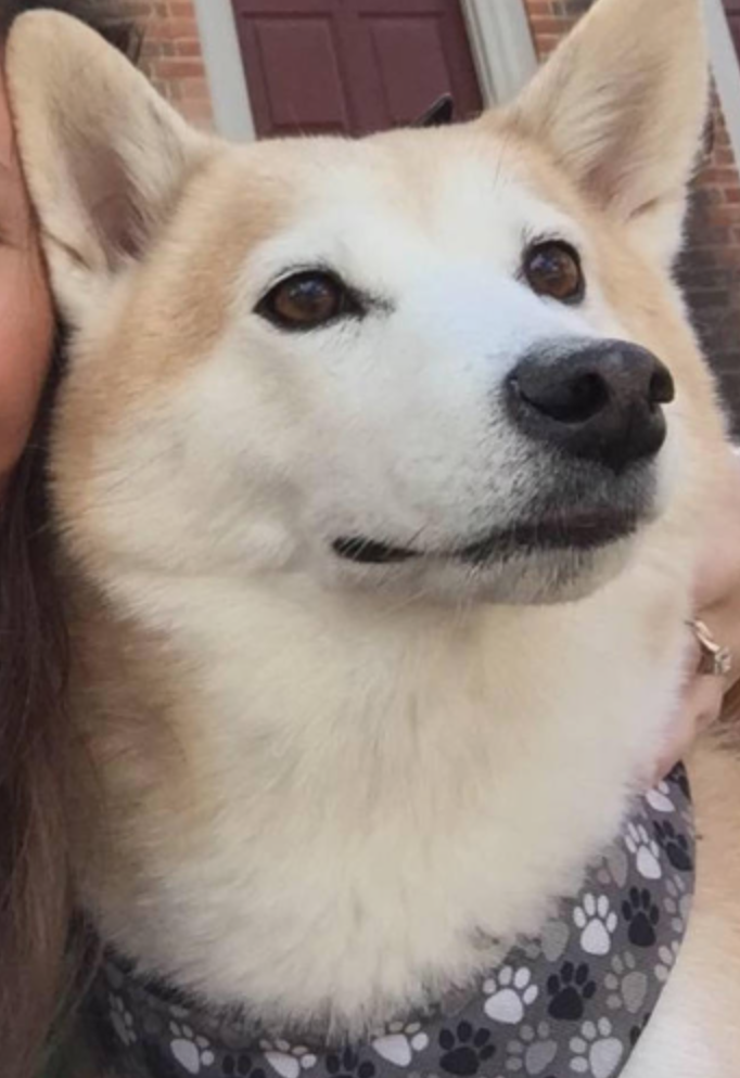 Screen Shot 2018-07-10 at 7.24.43 PM.png