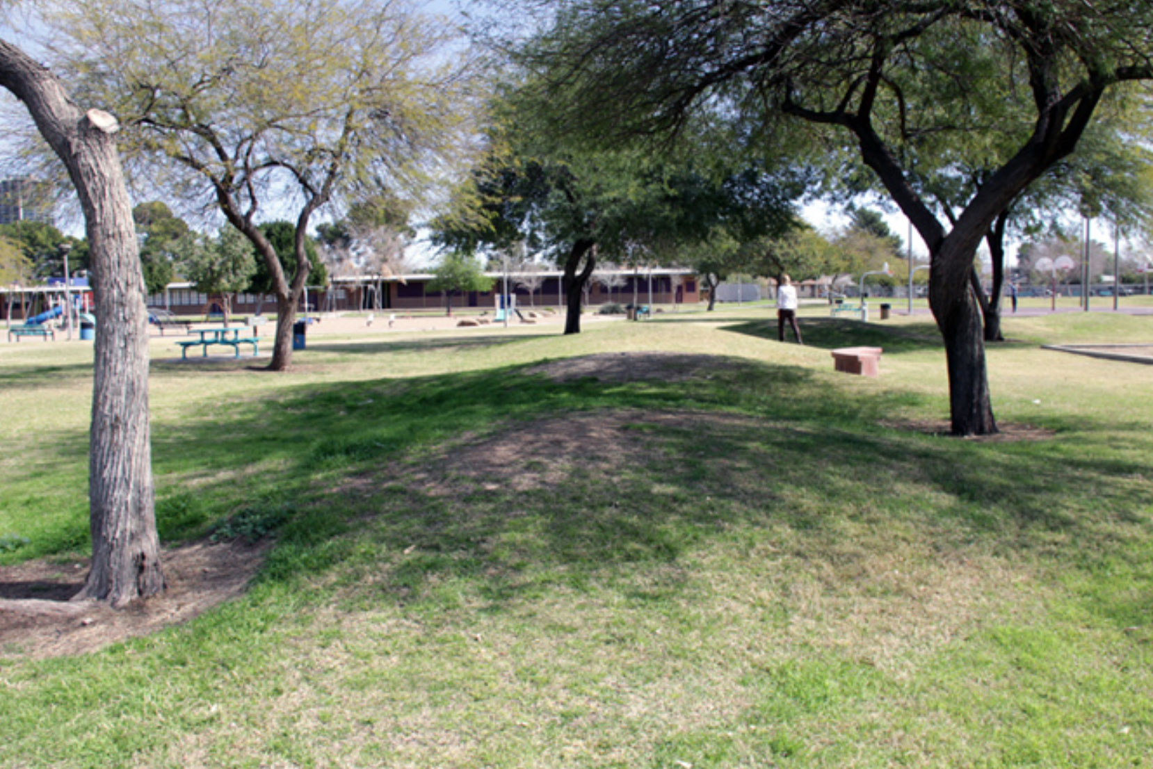 MITCHEL PARK, Tempe Arizona 1994