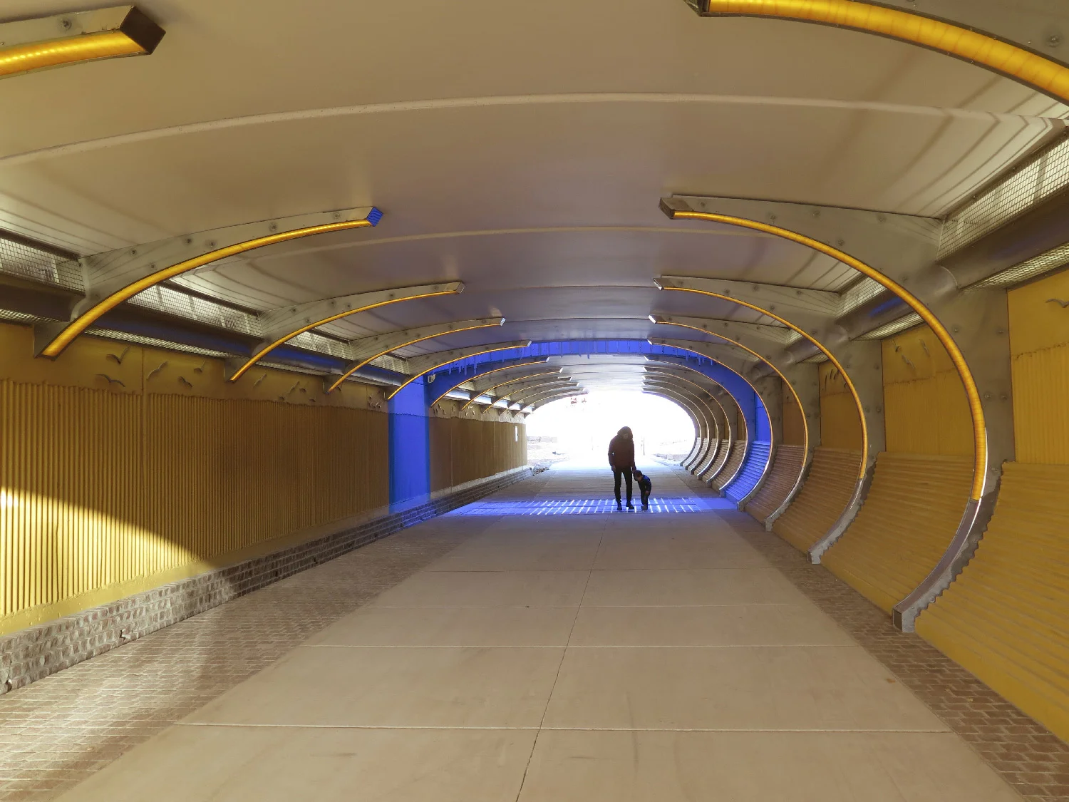 CAMINAR CON LUZ, Santa Fe 2018