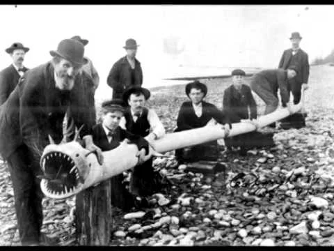 The Ouija Broads Guide to Northwestern Cryptids and Critters