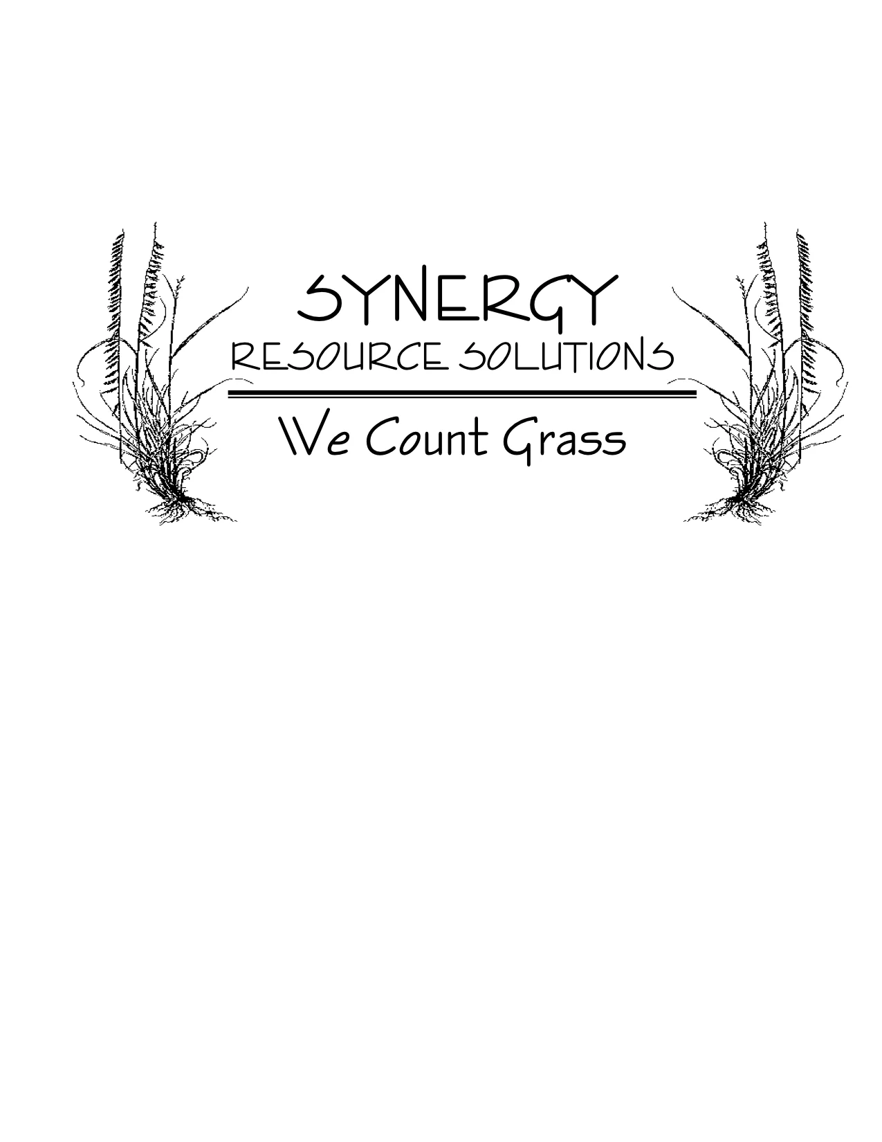 synergy logo no oval.jpg
