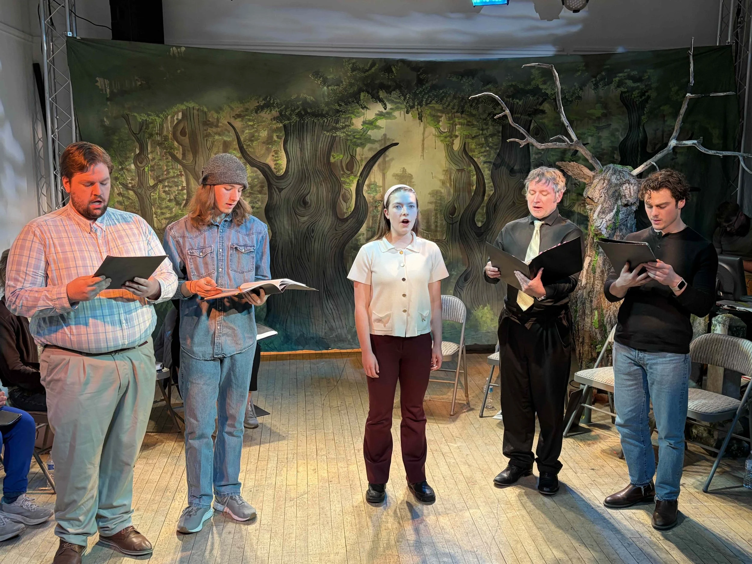 Robin Hood concert pic 3.jpg