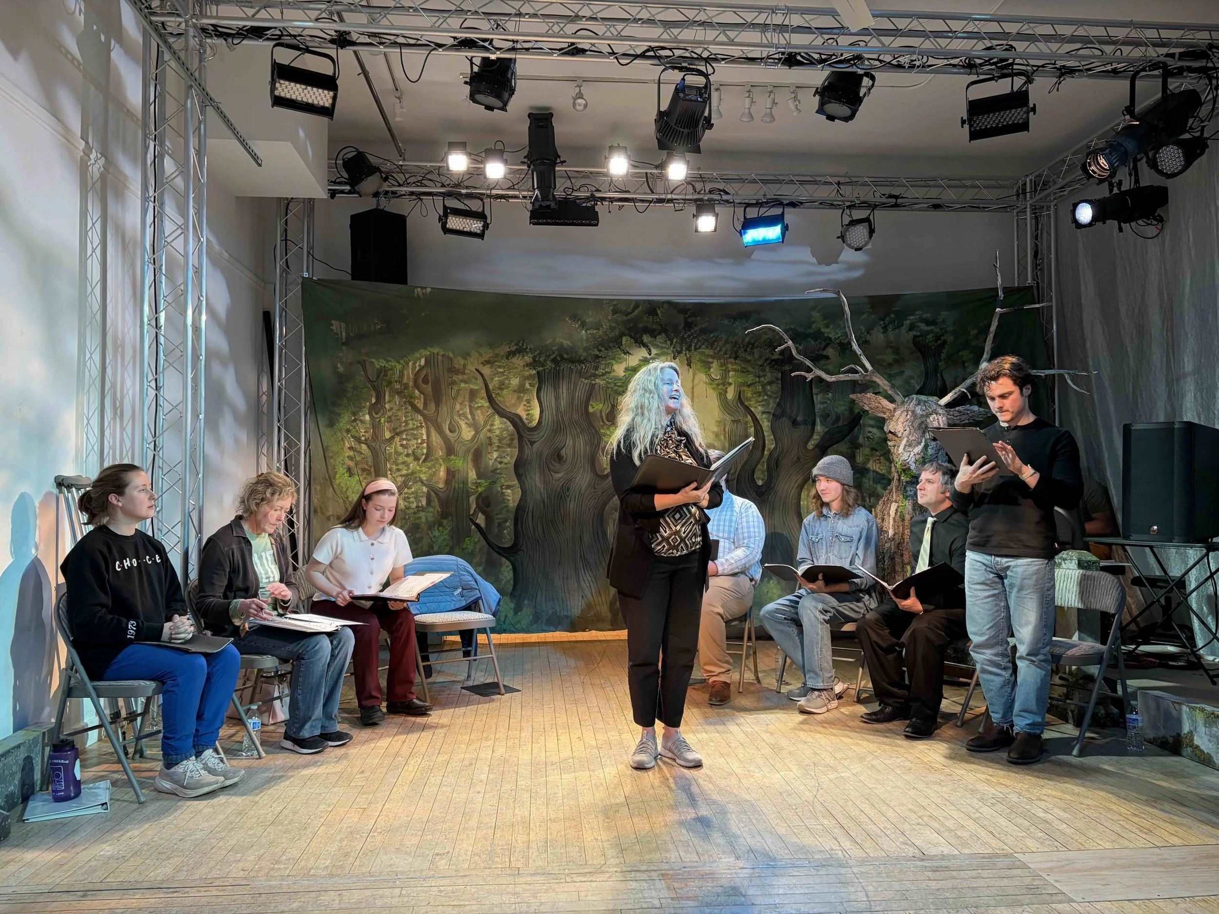 Robin Hood concert pic 2.jpg