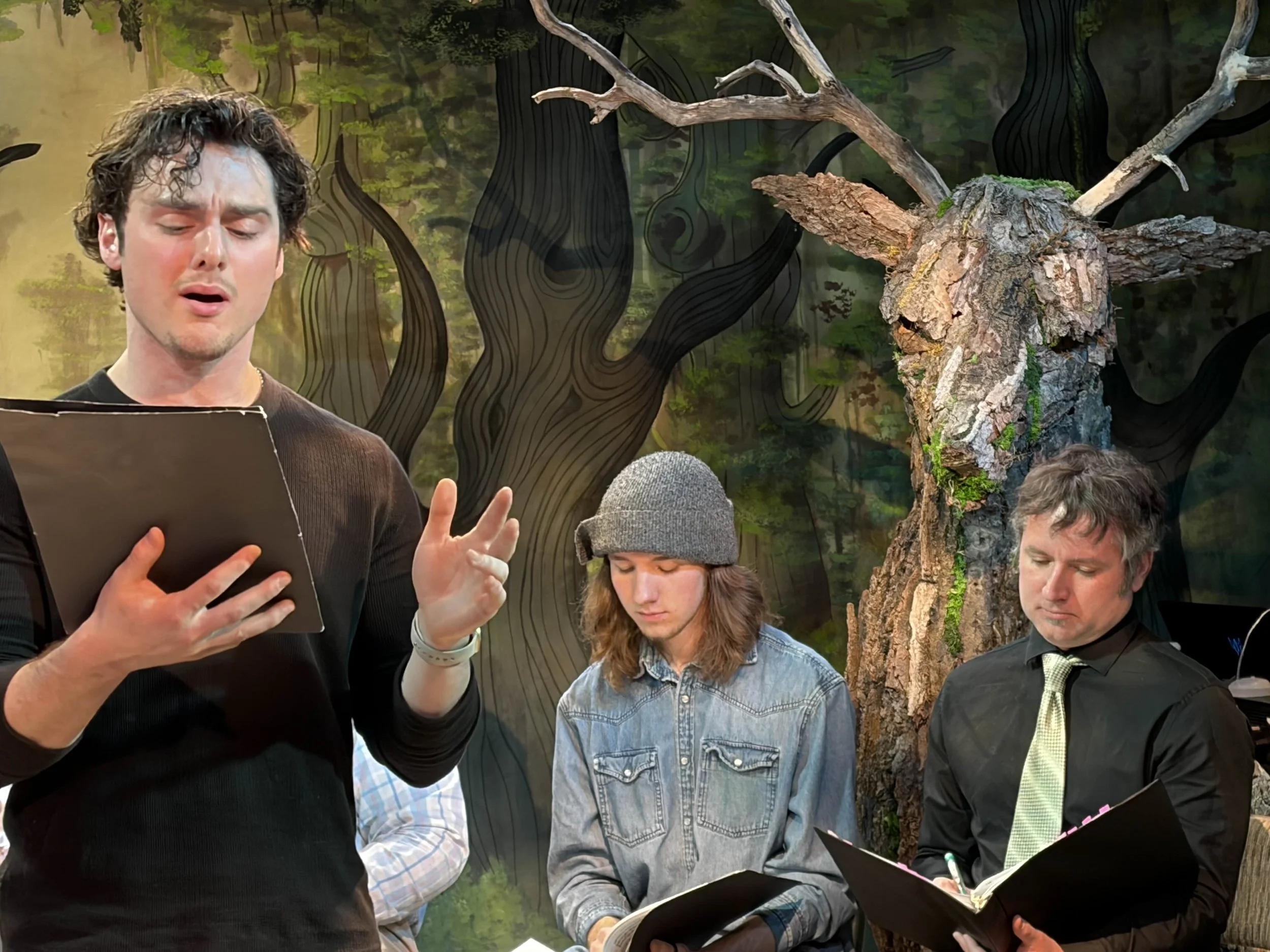 Robin Hood concert pic 1.jpg