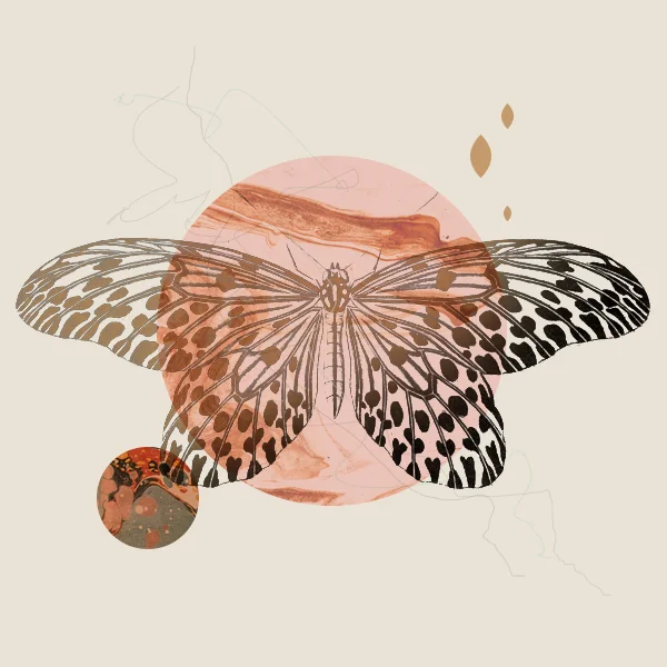 butterfly.jpg