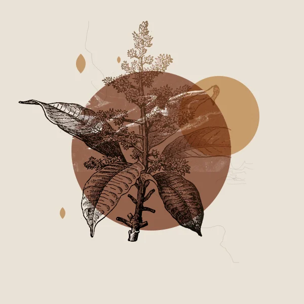 leaf.jpg