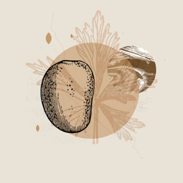 egg.jpg
