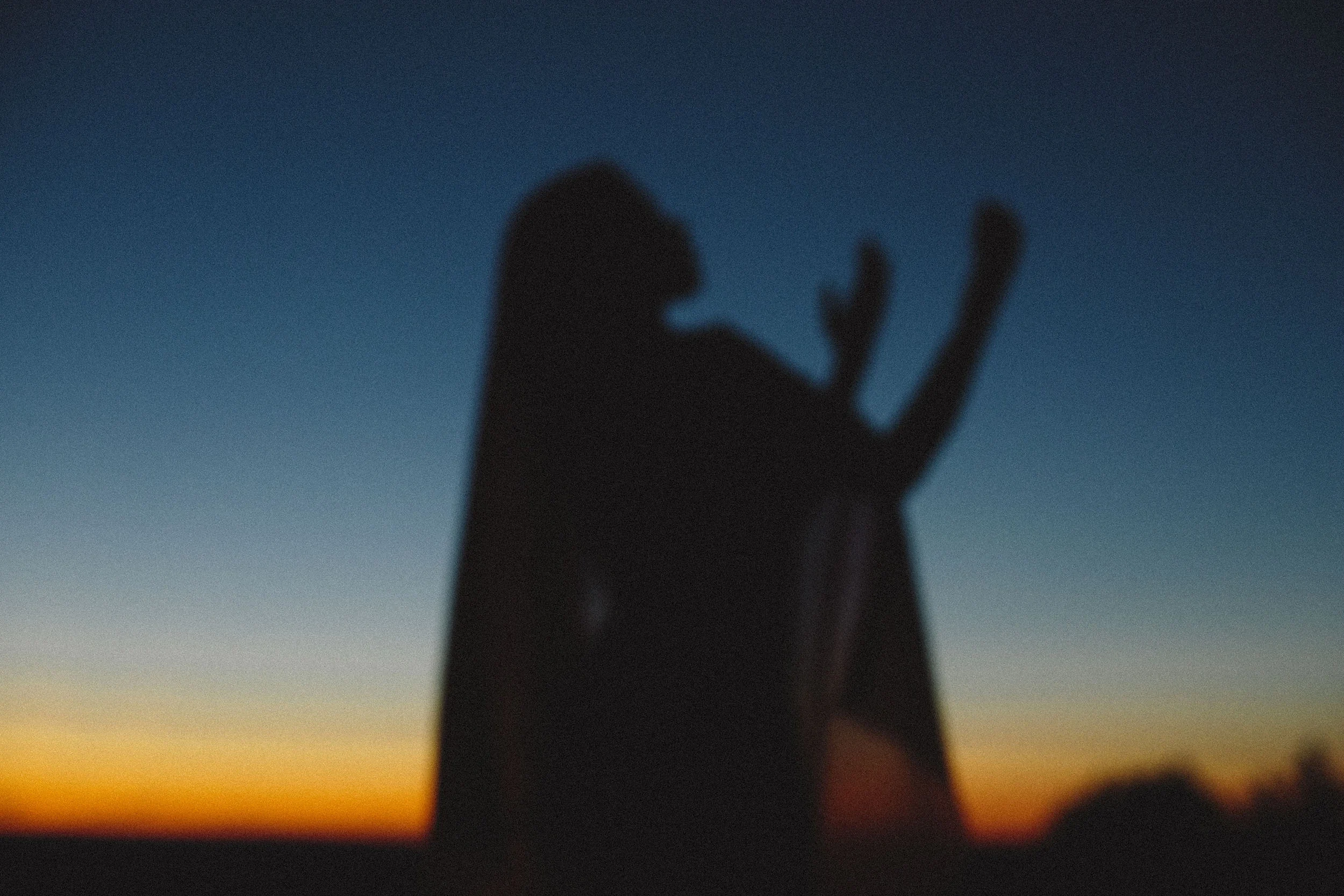 Services — Erika Rose Santoro