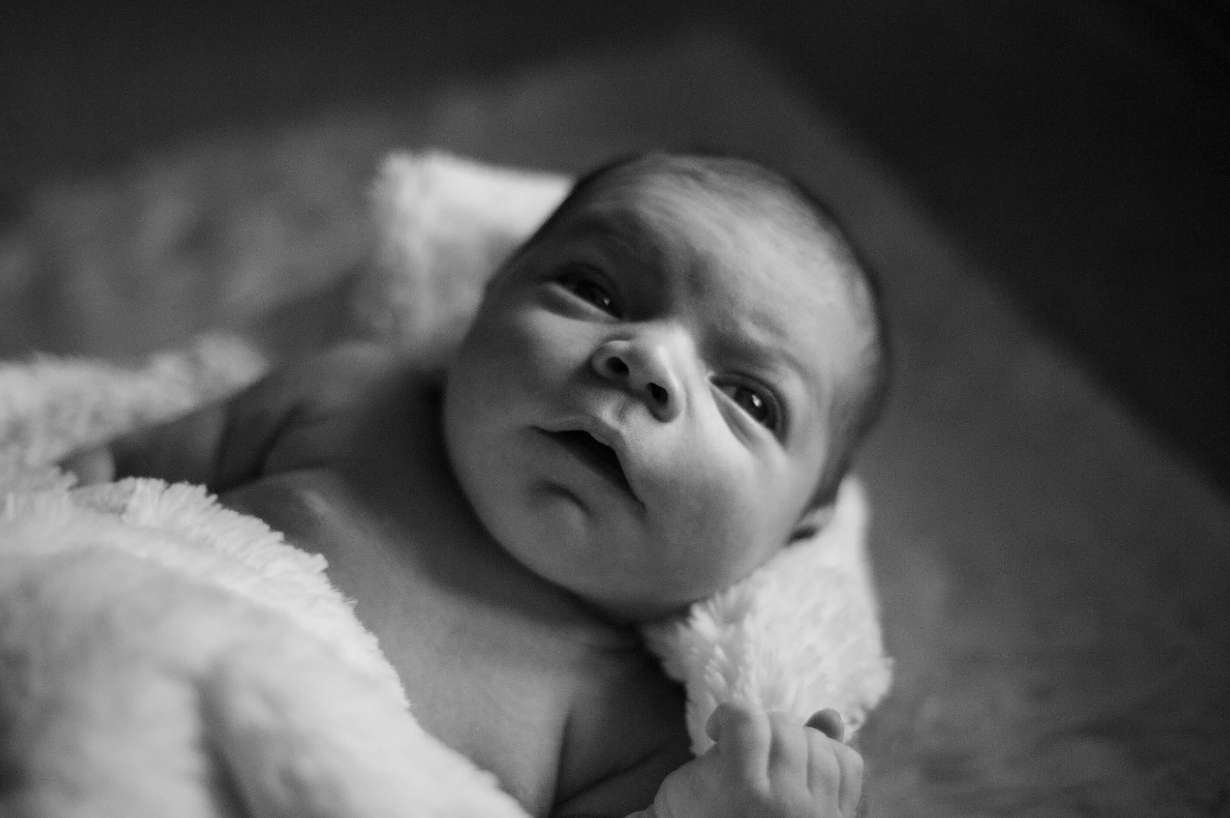 TitusNewborn37.jpg