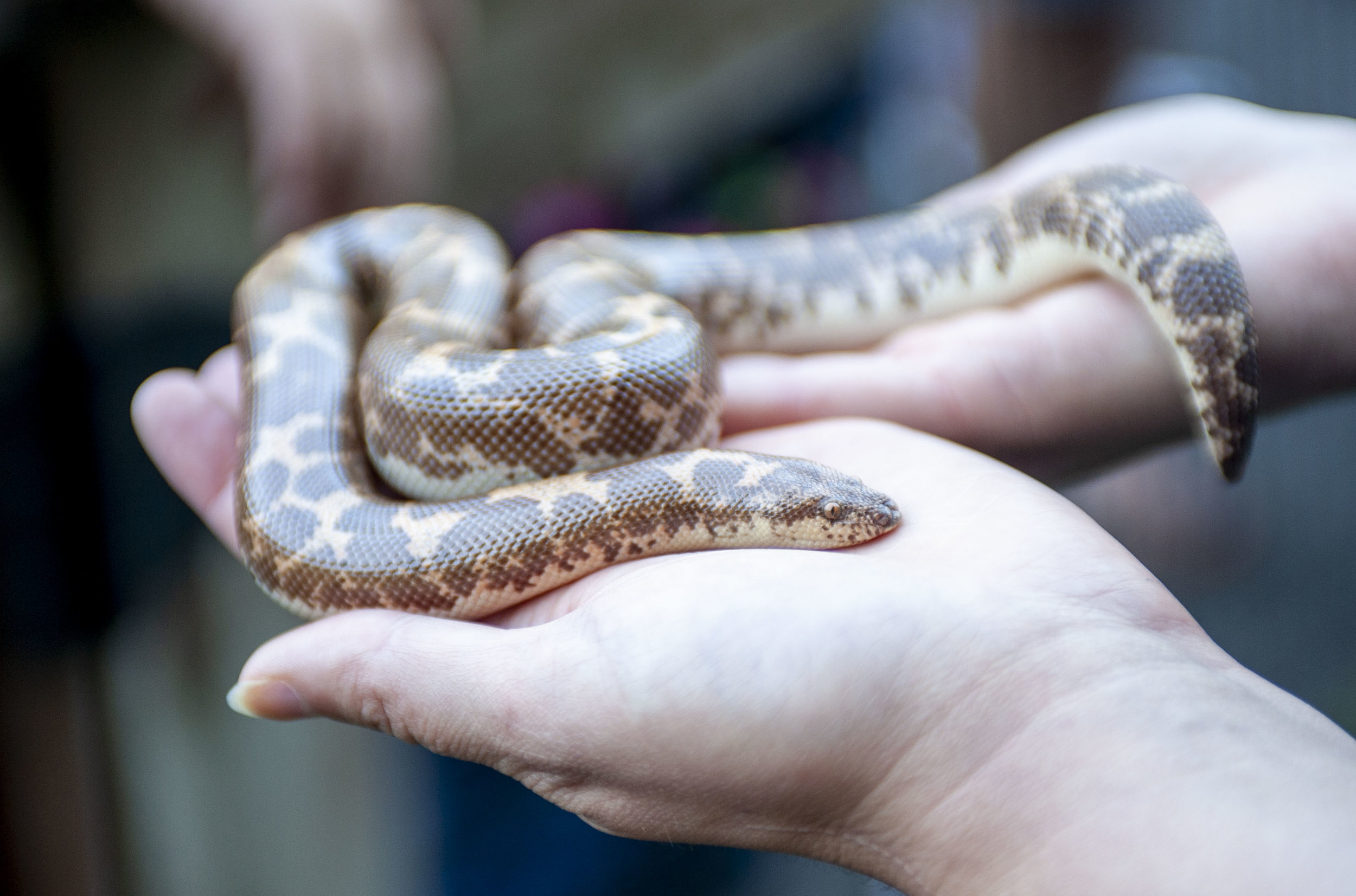 090118PDZoo_1284.jpg