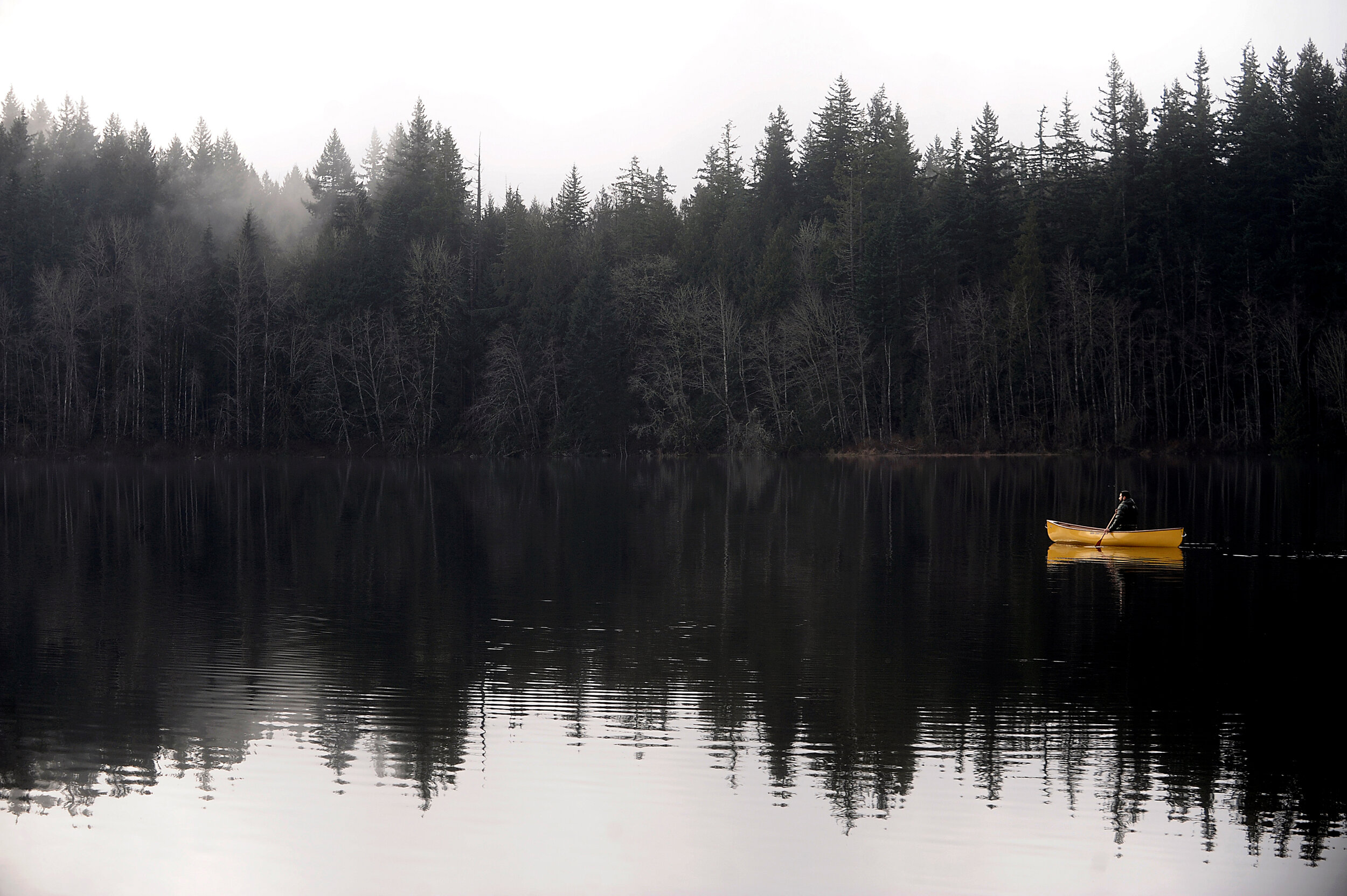  A man canoes slowly around Lake Padden as a fog clears from the lake and a sunny day appears Sunday morning, Jan. 23, 2011, in Bellingham. 